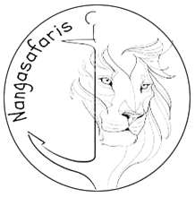 Nanga Wild Expeditions